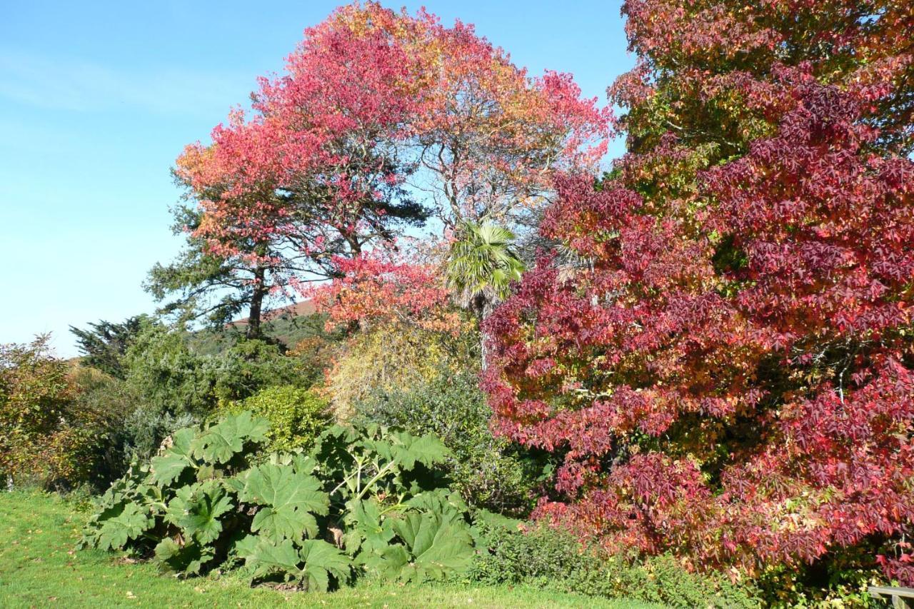 Luxury Bed And Breakfast At Bossington Hall In Exmoor, Somerset Porlock Buitenkant foto