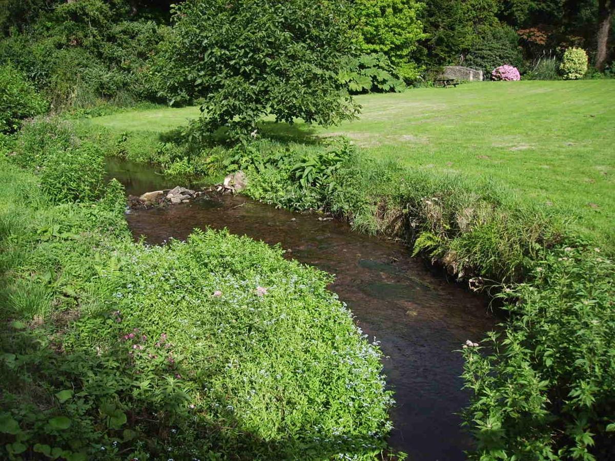 Luxury Bed And Breakfast At Bossington Hall In Exmoor, Somerset Porlock Buitenkant foto