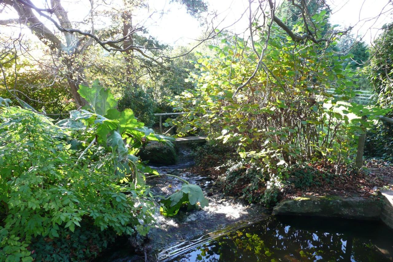 Luxury Bed And Breakfast At Bossington Hall In Exmoor, Somerset Porlock Buitenkant foto