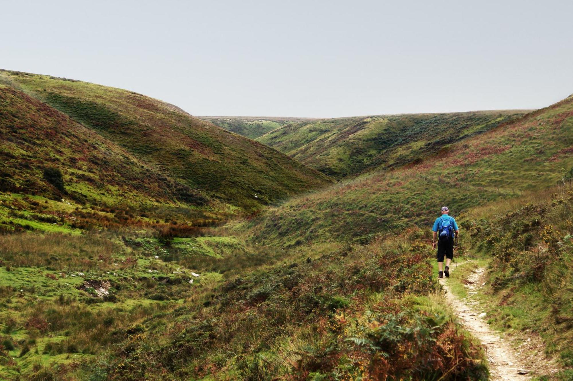 Luxury Bed And Breakfast At Bossington Hall In Exmoor, Somerset Porlock Buitenkant foto